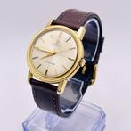 Omega - Seamaster [Perle Vintage] Crosshair Dial - 165.003, Nieuw