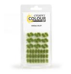Citadel Colour Tufts Verdia Veldt (Warhammer nieuw), Hobby en Vrije tijd, Ophalen of Verzenden, Nieuw