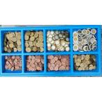 Euromunten met 800 munten met kunststof lade, Verzenden, Nieuw