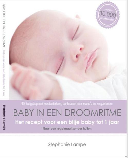 Baby in een droomritme 9789490023003 Stephanie Molenaar, Boeken, Zwangerschap en Opvoeding, Gelezen, Verzenden