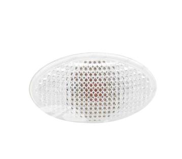 Clignotants 05 05-07 Pour Mini Cabrio 04-07, Verzenden