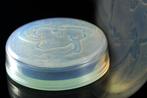Sabino, Paris - Sabino - Schaal - Opaline glas - Poederdoos