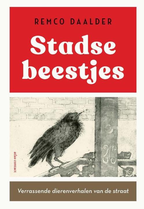 Stadse beestjes 9789045048178 Remco Daalder, Boeken, Politiek en Maatschappij, Zo goed als nieuw, Verzenden