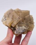 Klei met fluoriet met grote kubussen - Hoogte: 9.3 cm -, Verzamelen