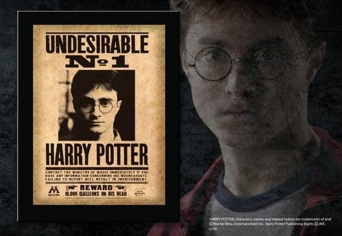 Harry Potter Undesirable No. 1 Sign 30 cm, Verzamelen, Harry Potter, Ophalen of Verzenden