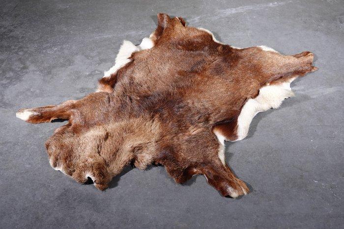 Vloerkleed - 95 cm - 110 cm - stukken moeflon huid, Verzamelen, Dierenverzamelingen