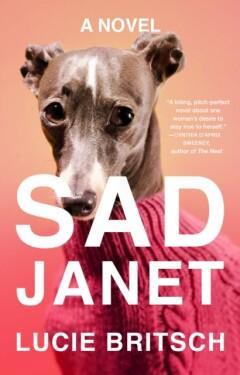 Sad Janet 9780593086537 Lucie Britsch, Boeken, Overige Boeken, Gelezen, Verzenden