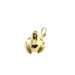 Gouden hanger van een kikkertje (kikker hanger), Overige merken, Goud, Gebruikt, Ophalen of Verzenden