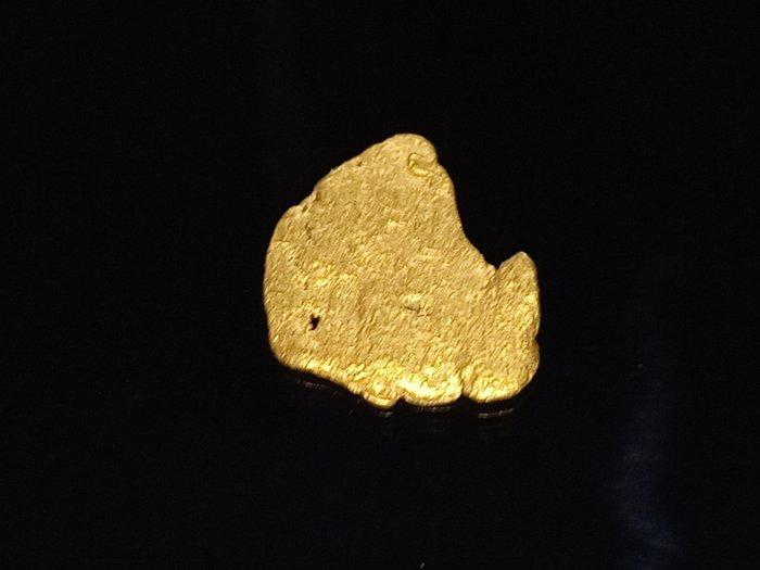 Max Pepita doro - Lapponia/Finlandia Goud nugget- 0.29 g, Verzamelen, Mineralen en Fossielen