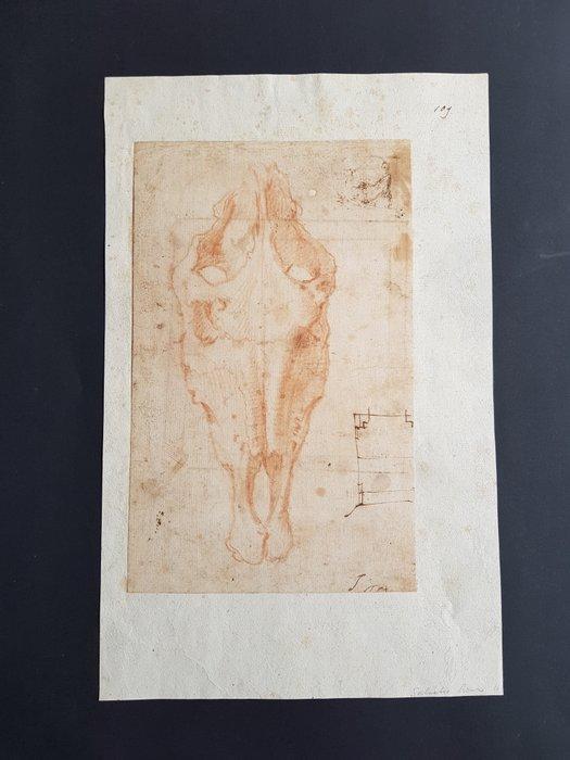 Salvator Rosa (1615-1673), zugeschrieben - Schädelstudie, Antiek en Kunst, Kunst | Schilderijen | Klassiek