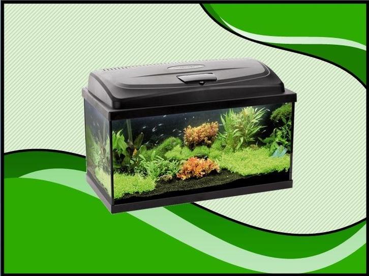AQUA4 START 60 recht aquarium set compleet (Aquarium sets), Dieren en Toebehoren, Vissen | Aquaria en Toebehoren, Nieuw, Verzenden