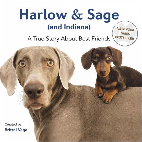Harlow & Sage (And Indiana) 9780399172878 Brittni Vega, Boeken, Overige Boeken, Gelezen, Verzenden