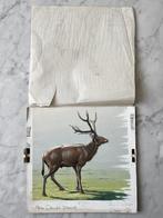 Neave Parker (1910-1961) Attrib.to - Story of Mammals -Pere
