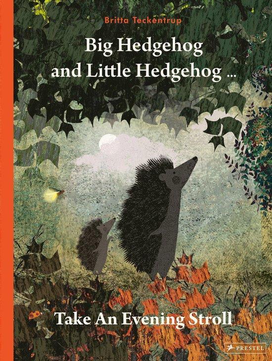 Big Hedgehog and Little Hedgehog Take an Evening Stroll, Boeken, Taal | Engels, Zo goed als nieuw, Verzenden