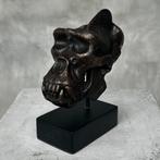 sculptuur, NO RESERVE PRICE - Gorilla Skull Sculpture - 15