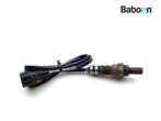 Capteur doxygène Triumph Daytona 600 2002-2004 (600i), Verzenden, Nieuw