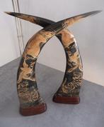 Waterbuffel Hoorns - Bubalus bubalis - 45 cm - 0 cm - 0 cm