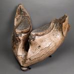 Schitterend mammoetkaakbeen - Fossiel bot - Mammuthus sp. -