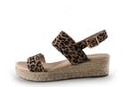 Dolcis Sandalen in maat 39 Overig | 5% korting, Kleding | Dames, Dolcis, Overige kleuren, Verzenden, Sandalen of Muiltjes