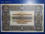 Hongarije. - 1000 Korona - 1920 - Pick 66 (Zonder