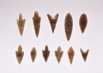 11 pointes de flèche néolithiques flint Tête de flèche (Sans