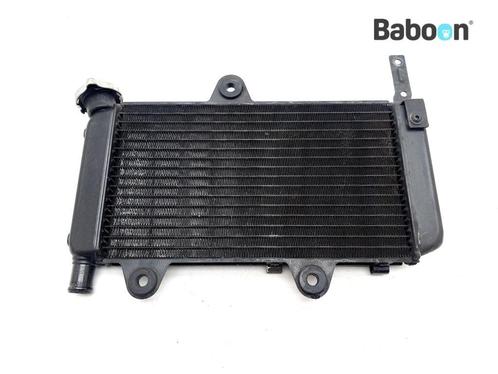 Radiateur Yamaha XT 660 X 2004-2014 (XT660X), Motoren, Onderdelen | Yamaha, Verzenden