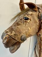 Figure - Large 1840s horse - H57cm/L57cm - Bois, Cuir