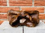 steppewisent - Fossiel wervelbot - Bison priscus - 12 cm -, Verzamelen