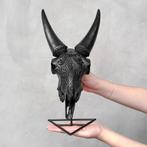 SANS PRIX DE RÉSERVE - Authentique crâne de chèvre noir