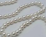 Sans prix de réserve - Collier - 18 carats Or blanc Perle -, Nieuw