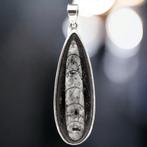 Sterling zilveren hanger - Gefossiliseerde schelp -, Verzamelen