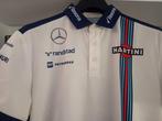 Williams Martini Racing Mercedes F1 - Formule 1 - Felipe