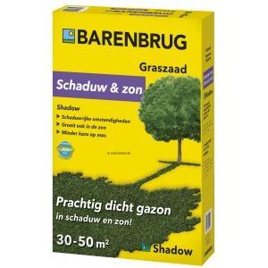Schaduw barenbrug graszaad 1 kg - prachtig dicht gazon in, Tuin en Terras, Gras en Kunstgras