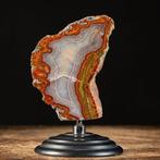 Rare Red Moss Agata - Exclusieve Marokkaanse Agaat - Geode, Verzamelen, Mineralen en Fossielen