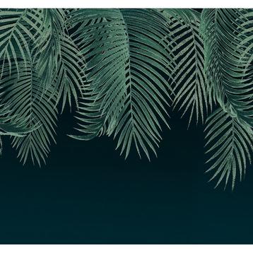 Art for the Home - fotobehang botanisch / palm - 280x300 cm