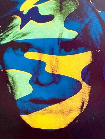 Andy Warhol - Te Neues - Self portrait camouflage - Années
