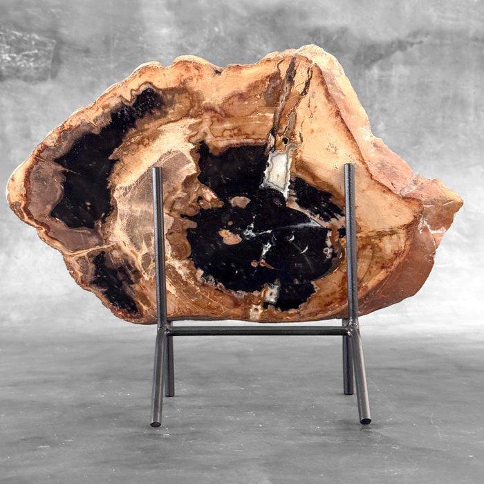Indrukwekkende plak versteend hout op een op maat gemaakte, Antiek en Kunst, Kunst | Designobjecten