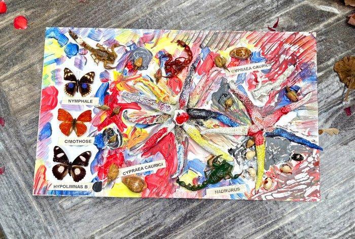 Tabel Aarde en Zee (scorpions, vlinders, zeesterren en, Antiek en Kunst, Curiosa en Brocante