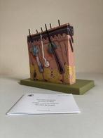 Anatomisch model - somsoplast - 2010-2020 - Somso huidmodel, Antiek en Kunst