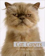 Cat Capers 9780740778001, Gandee Vasan, PQ Blackwell Ltd., Verzenden