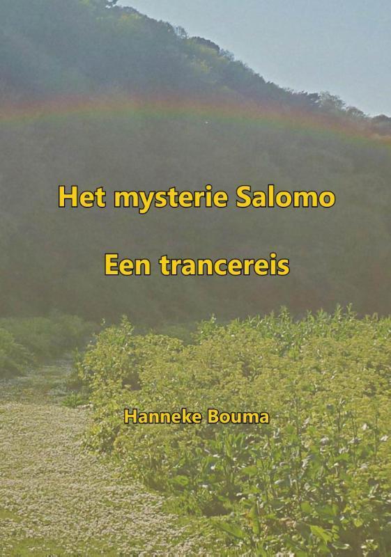 Het mysterie Salomo 9789492247056 Hanneke Bouma, Boeken, Esoterie en Spiritualiteit, Gelezen, Verzenden