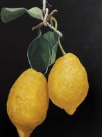 Franco Bencivenga (1953) - Limoni appesi