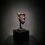 Rare Masque miniature Ikoko (Gikhoko) - Pende - Kwilu–Kasai, Antiquités & Art