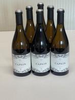 2018 Chateau Capion - Languedoc - 6 Flessen (0.75 liter), Verzamelen, Wijnen, Nieuw