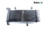 Radiateur Kawasaki NINJA 125 2021 (BX125), Motoren, Verzenden, Nieuw