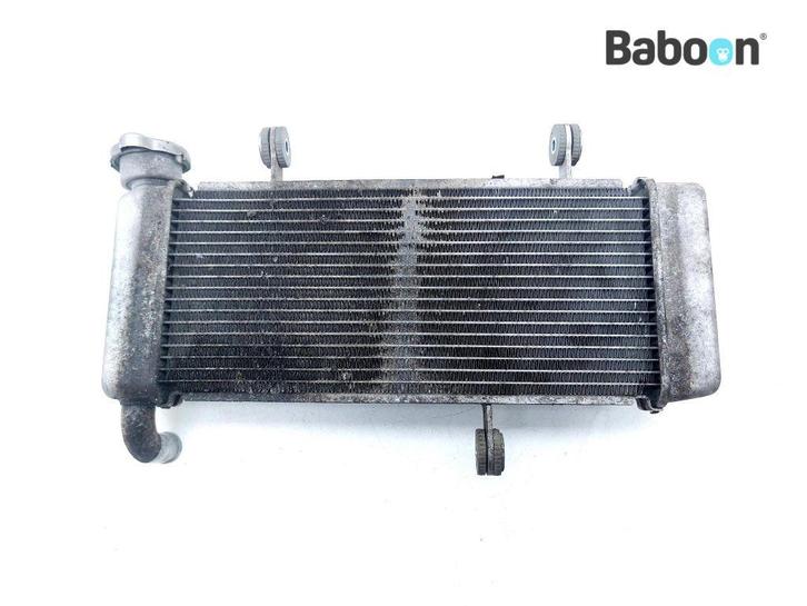 Radiateur Kawasaki NINJA 125 2021 (BX125), Motoren, Onderdelen | Kawasaki, Verzenden