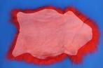 Schaap Balg - Ovis aries - 0 m - 100 cm - 60 cm -