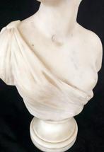 Buste, Diane Chasseresse - 63 cm - Carrara marmer