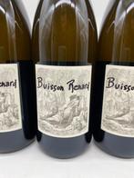 2020 Domaine Didier Dagueneau Buisson Renard - Loire - 3