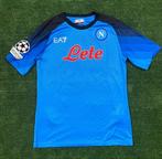 Napoli - Kampioenschaps voetbal competitie - Giovanni Di, Nieuw